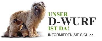 D-Wurf